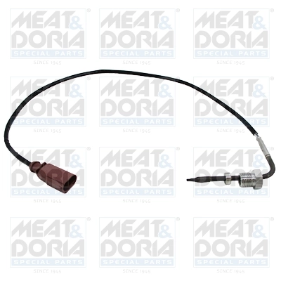 Sensor, exhaust gas temperature
